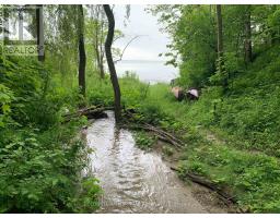 6069 GRANDVIEW ROAD - 31