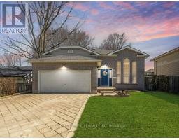 19 DELL DRIVE - 38