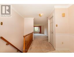 4 - 5 CADEAU TERRACE - 6