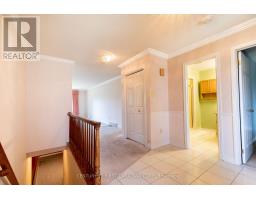 4 - 5 CADEAU TERRACE - 7