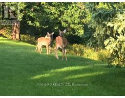 179 GRENFELL PLACE - 35