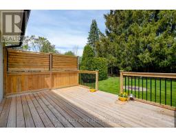 36 DUNSMOOR ROAD - 36