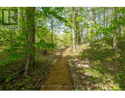 302 SONGBIRD LANE - 37