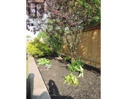 343 CRAWFORD STREET - 42