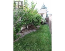 343 CRAWFORD STREET - 43