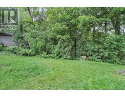 425 OLD WONDERLAND ROAD - 41