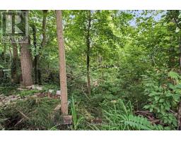 425 OLD WONDERLAND ROAD - 42