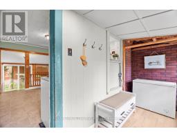 31 CARRALL STREET - 22