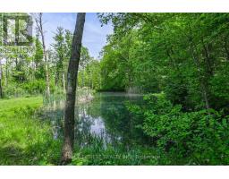 5721 MARION STREET - 38