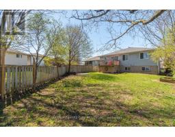 19 DELL DRIVE - 31