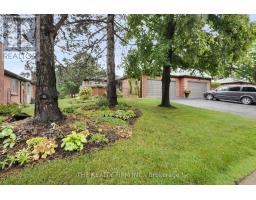 4 - 65 FIDDLERS GREEN ROAD - 46