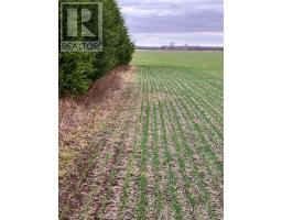 PTLOT26 PRINCE WILLIAM STREET - 9