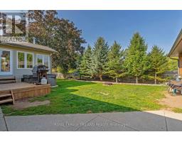 177 QUEEN STREET - 35