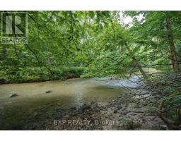 10608 LONGWOODS ROAD - 38