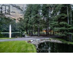 10608 LONGWOODS ROAD - 6