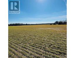 21111 DUNDONALD ROAD - 19