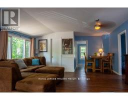 13 ELMWOOD AVENUE - 19