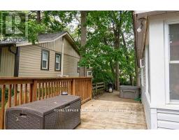 13 ELMWOOD AVENUE - 30