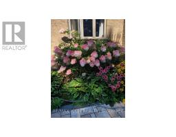 17 TANAGER PLACE - 44