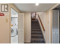 41 ELDORADO AVENUE - 29
