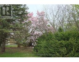 104 SIMCOE AVENUE - 2
