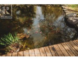 12120 GALE ROAD - 36