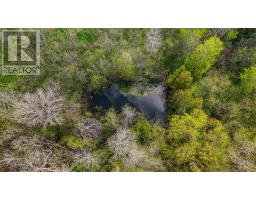 20938 CHERRY HILL ROAD - 12