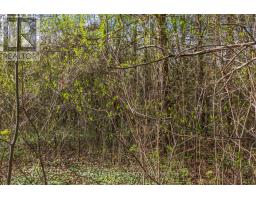 20938 CHERRY HILL ROAD - 16