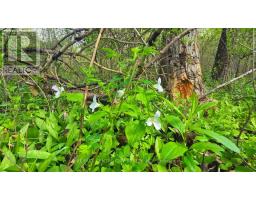 20938 CHERRY HILL ROAD - 23