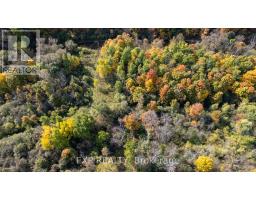 43 GLENRIDGE CRESCENT - 48