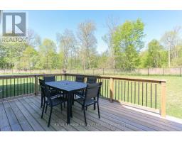45 COMPASS TRAIL - 44