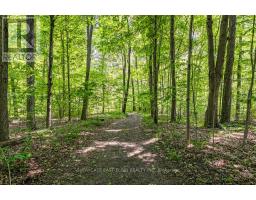 8709 SPRINGFIELD ROAD - 33