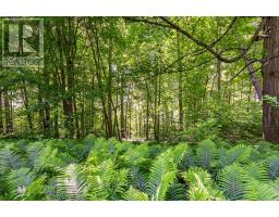 8709 SPRINGFIELD ROAD - 34