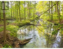 8709 SPRINGFIELD ROAD - 5