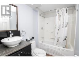 1381 BLACKMAPLE DRIVE - 33