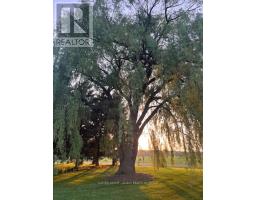 16791 WYTON ROAD - 5