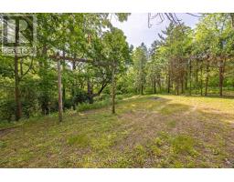 39339 BUSH LINE - 20
