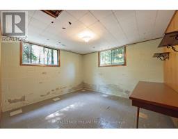 39339 BUSH LINE - 43
