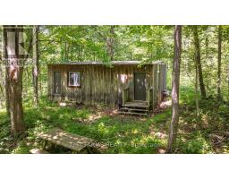 1052 LONGWOODS ROAD - 12