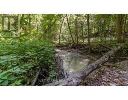 1052 LONGWOODS ROAD - 16