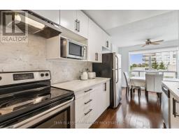 501 - 333 COMMISSIONERS ROAD W - 10