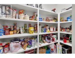 17 TANAGER PLACE - 19