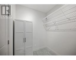 54 COMPASS TRAIL W - 17