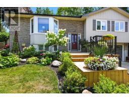 39 CHEVIOT PLACE - 37