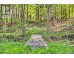 35035 LAKE LINE - 19