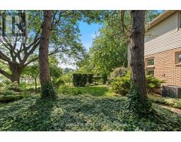 291 TAWNY ROAD - 50
