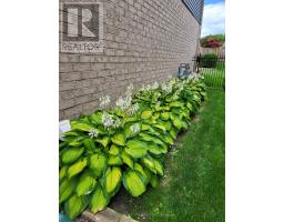 9 EMPIRE PARKWAY - 41