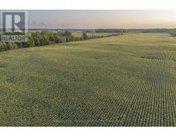 5619 COLONEL TALBOT ROAD - 9