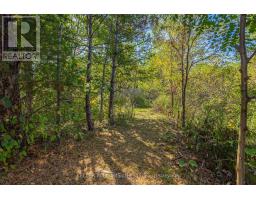 4723 AUSABLE DRIVE - 37