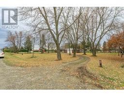 195989 19TH LINE - 3